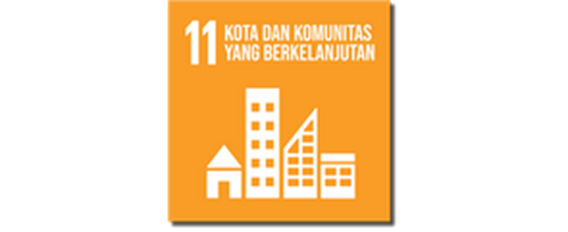 SDG 11