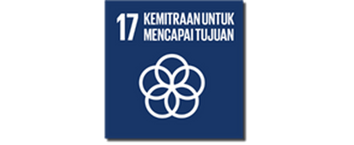 SDG 17